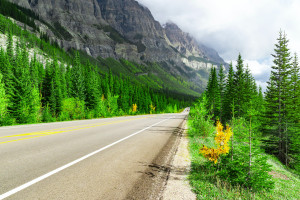 情感连接,FIFA电竞主播的魅力有多大 情感连接,FIFA电竞主播的魅力有多大